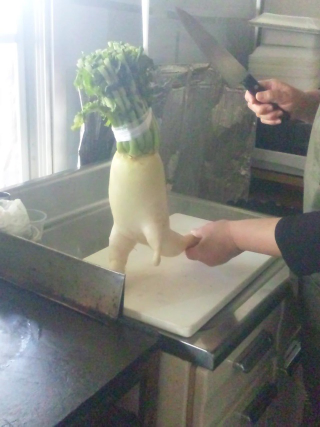 Illustration for article titled How a Japanese Radish Became an Internet Hero
